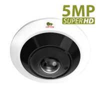IP видеокамера Partizan IPF-5SP v1.0