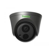 IP камера IP-видеокамера купольная Tiandy TC-A52F2 Spec: 2/E/6mm