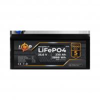 Акумулятор LP LiFePO4 24V (25,6V) - 230 Ah (5888Wh) (BMS 150A/75A) пластик для ДБЖ