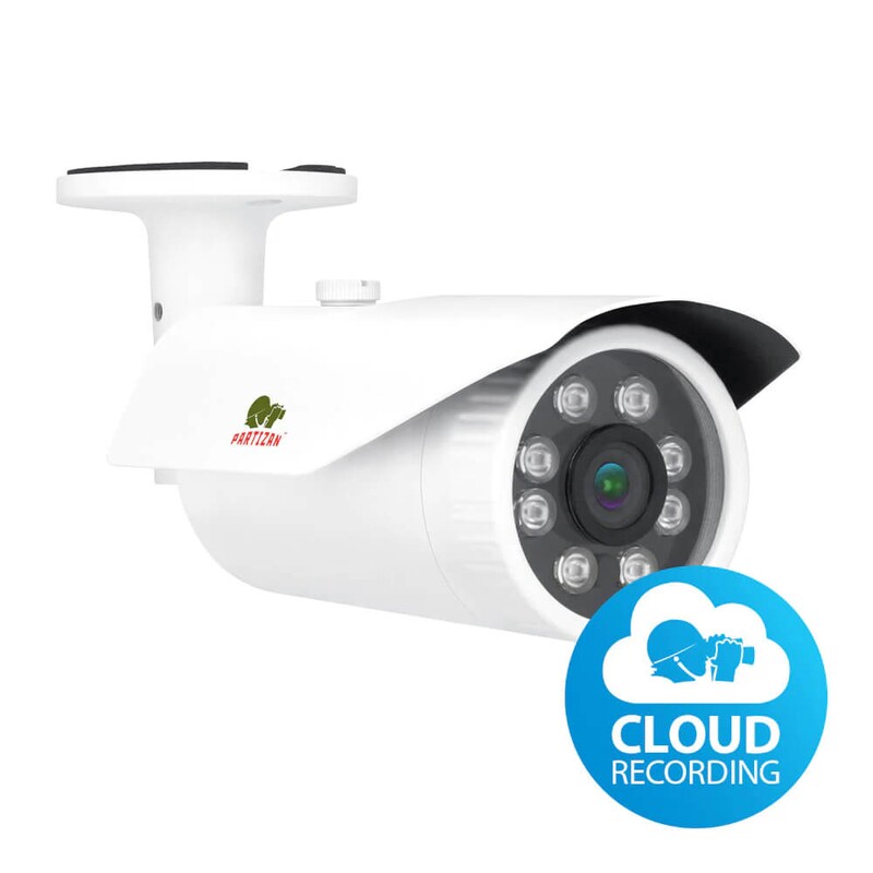 Partizan IPO-VF2MP SE 2.4 Cloud — зображення моделі